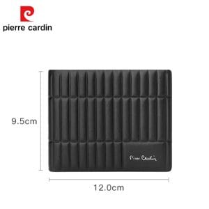 vi nam pierre cardin 3