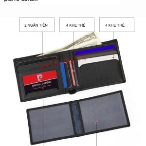 vi pierre cardin