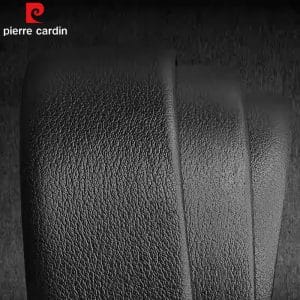 that lung pierre cardin 1